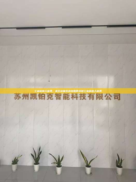 工业机器人保养，延长设备生命周期的关键工业机器人保养