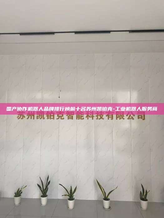 国产协作机器人品牌排行榜前十名苏州凯铂克-工业机器人服务商