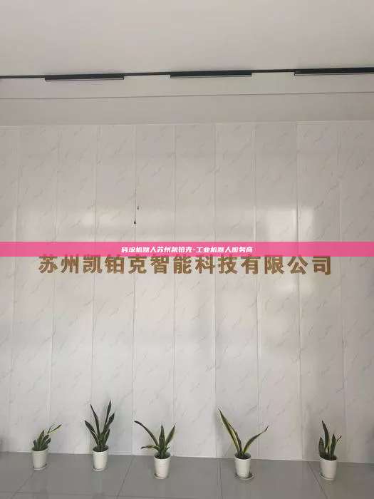 码垛机器人苏州凯铂克-工业机器人服务商