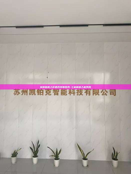 弧焊机器人价格苏州凯铂克-工业机器人服务商