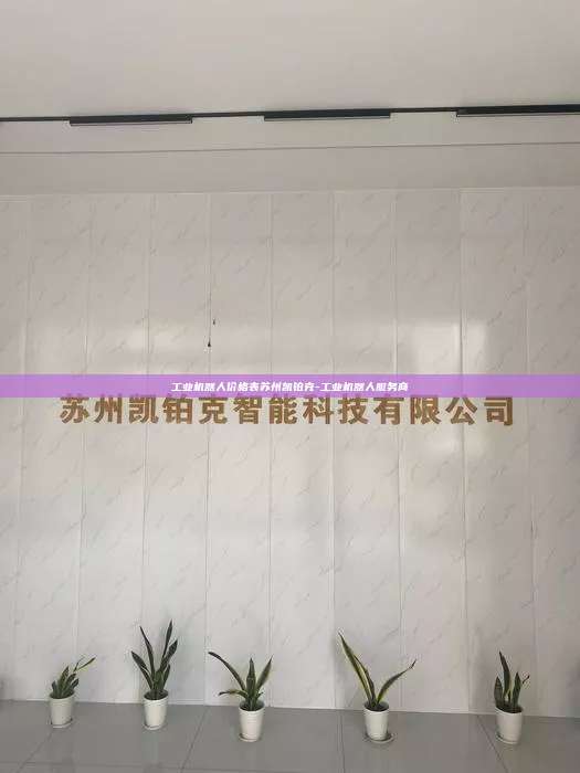 工业机器人价格表苏州凯铂克-工业机器人服务商