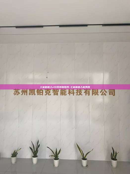 工业机器人z10苏州凯铂克-工业机器人服务商